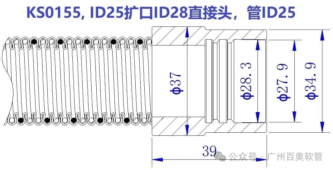 ks0155.jpg